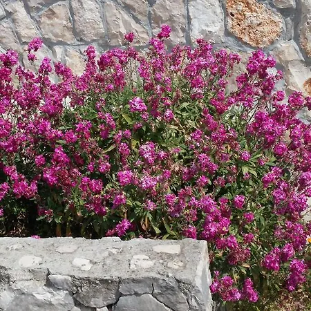 Adria Garden